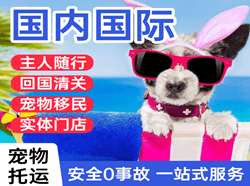 九江庐山机场托运国际宠物托运 【国